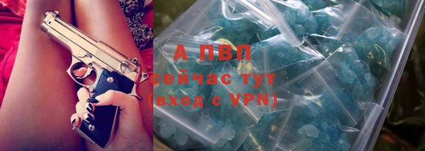 ешки Белокуриха