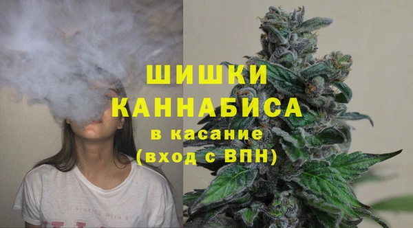 ешки Белокуриха