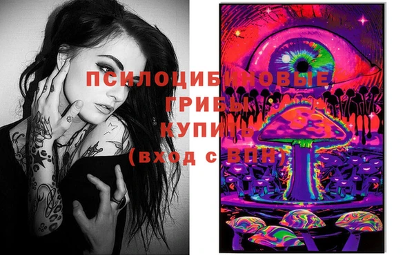 ешки Белокуриха